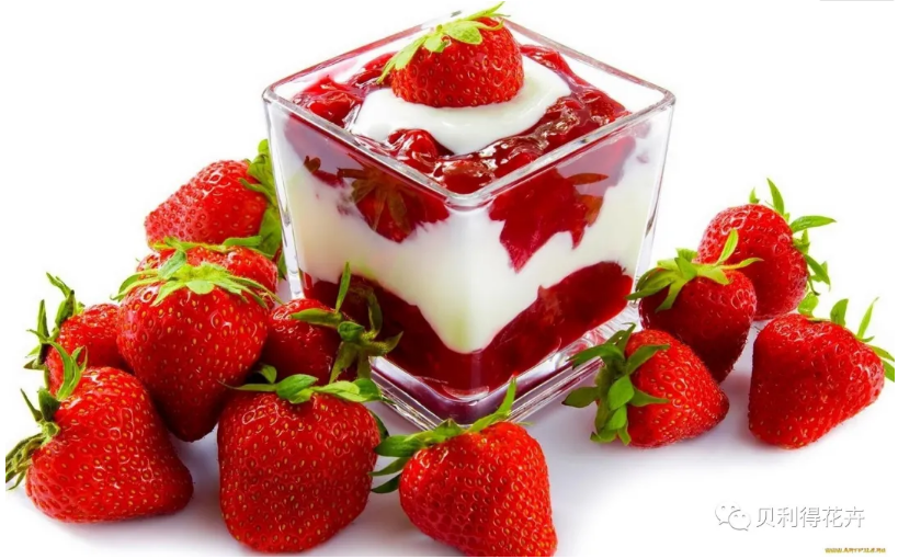 【花美果甜】让人口齿生津的草莓——苗开始接单喽！！！